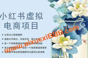 小红书虚拟电商从0到1，让你从小白到精英（20节实操课程）