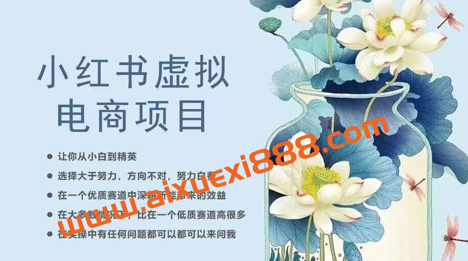 小红书虚拟电商从0到1,让你从小白到精英(20节实操课程)插图 小红书虚拟电商从0到1,让你从小白到精英(20节实操课程)插图