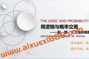 杨乔茵：用逻辑与概率交易《完结》