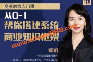 【诞姐】商业思维入门课，从0-1帮你搭建系统商业知识框架