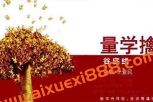 【量学云讲堂】金城李亚民量学擒龙伏击龙头 第39期四段位