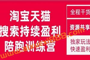 2023未见【無山】淘宝天猫搜索持续盈利陪跑训练营，独家玩法，快速盈利