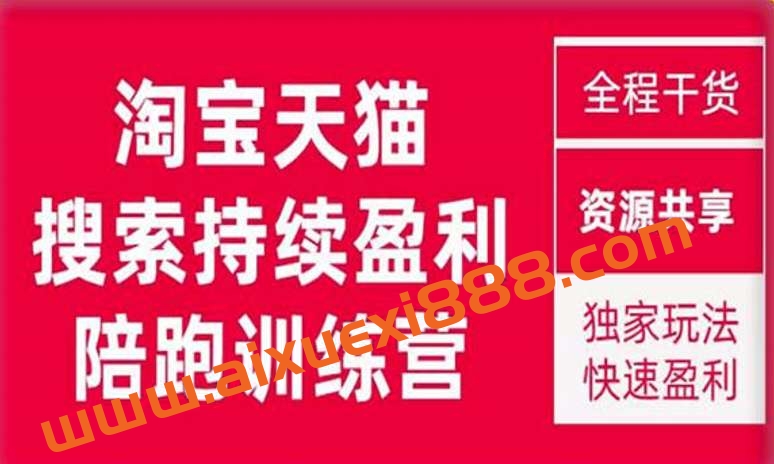 2023未见【無山】淘宝天猫搜索持续盈利陪跑训练营，独家玩法，快速盈利插图