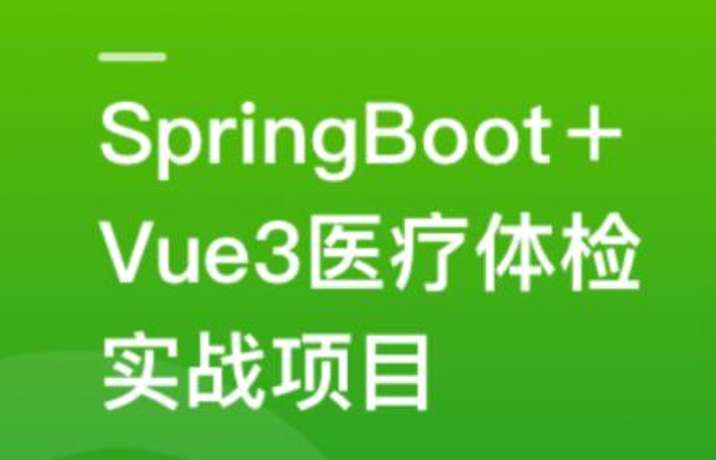 SpringBoot+Vue3+MySQL集群 开发大健康体检双系统插图