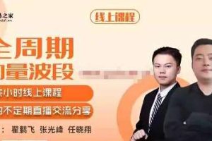 全周期动量波段 翟鹏飞 张光峰 任晓翔期货教程 视频22集