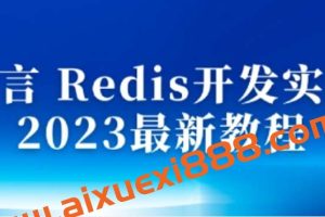 沐言 Redis开发实战 2023最新教程