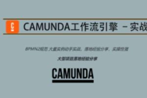 Camunda高级实战培训系列教程