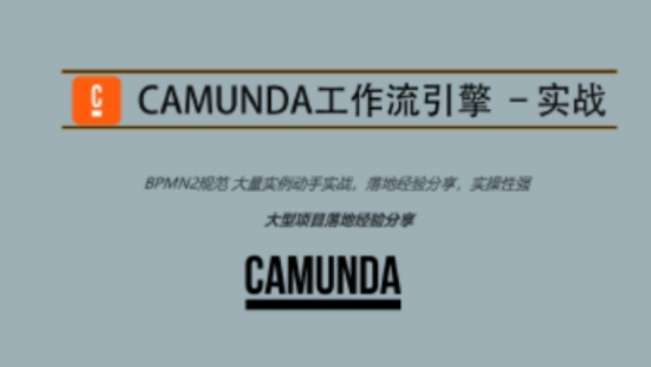 Camunda高级实战培训系列教程插图