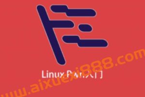 Linux Pwn入门