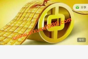 2024年1月-5月小费缠论实战班训练营小费财经金融第七期