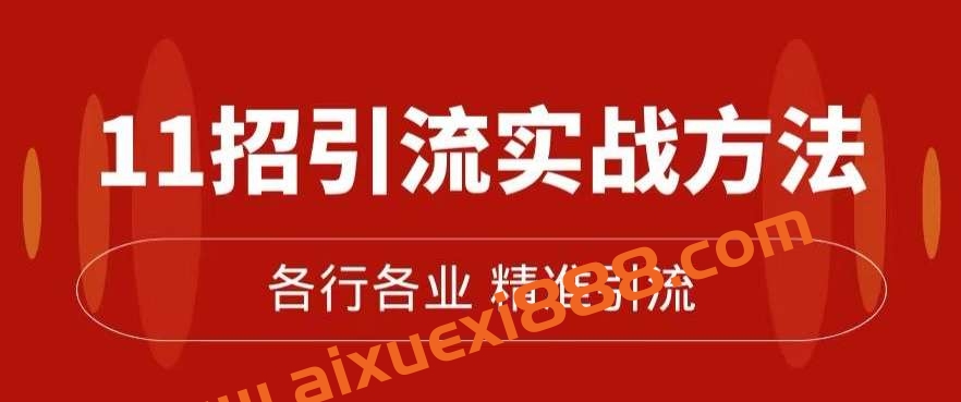 精准引流术：11招引流实战方法，让你私域流量加到爆（11节课完整)插图