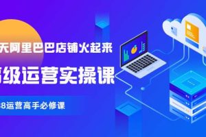 90天阿里巴巴店铺火起来-全套高级运营课