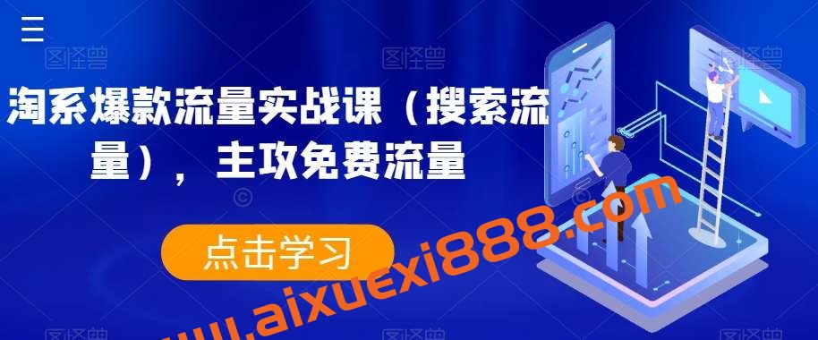 淘系爆款流量实战课（搜索流量），主攻免费流量插图