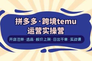 刘伯伦《Temu12天快速入门实操课》