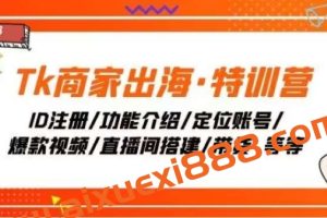 Tiktok商家出海特训营：低成本获取流量，学习高GMV直播间技巧，打造爆款视频和直播间