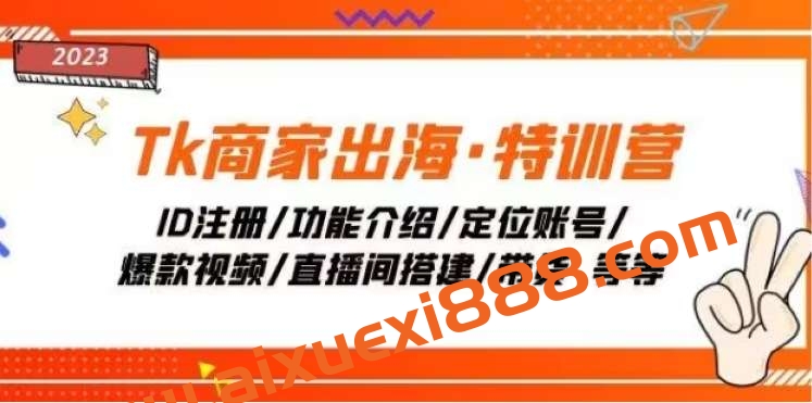 Tiktok商家出海特训营：低成本获取流量，学习高GMV直播间技巧，打造爆款视频和直播间插图