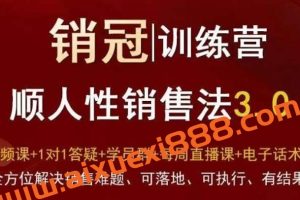 销冠训练营3.0之顺人性销售法，全方位解决销售难题、可落地、可执行、有结果
