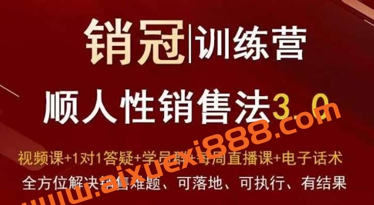 销冠训练营3.0之顺人性销售法，全方位解决销售难题、可落地、可执行、有结果插图