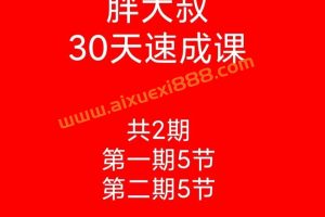 【游资胖大叔】绝密炒股课程30天速成班第一期+第二期 每日复盘视频