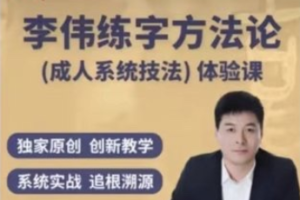 李伟书写练字方法论系统课