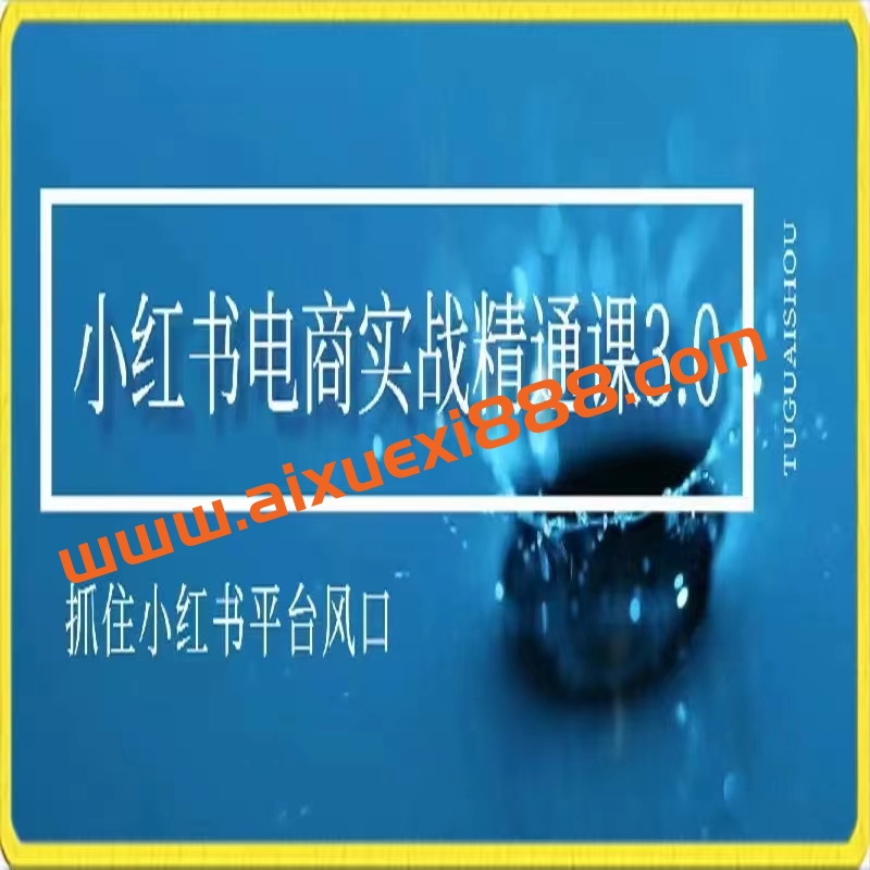 小红书电商实战精通课3.0，抓住小红书平台的风口，不错过有一个赚钱的机会插图