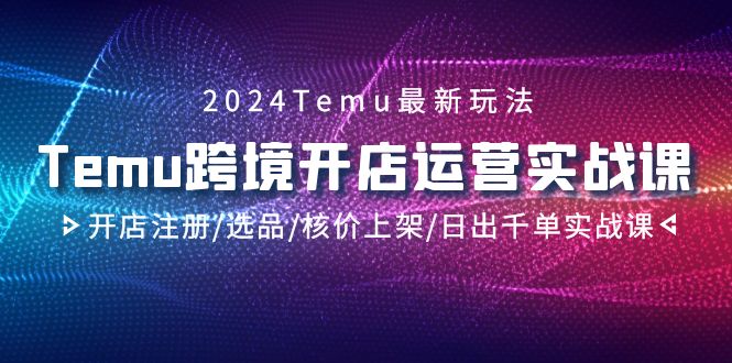2024Temu最新玩法，Temu跨境开店运营实操课，开店注册/选品/核价上架/日出千单实战课