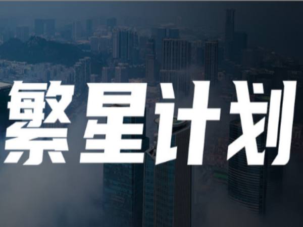 【参哥】素人IP流量打造繁星计划课程