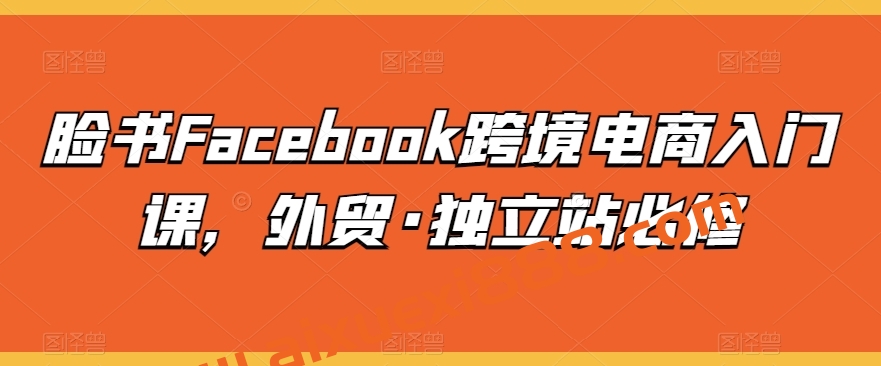 澳门彬哥人教你Facebook脸书跨境电商入门课，外贸·独立站必修