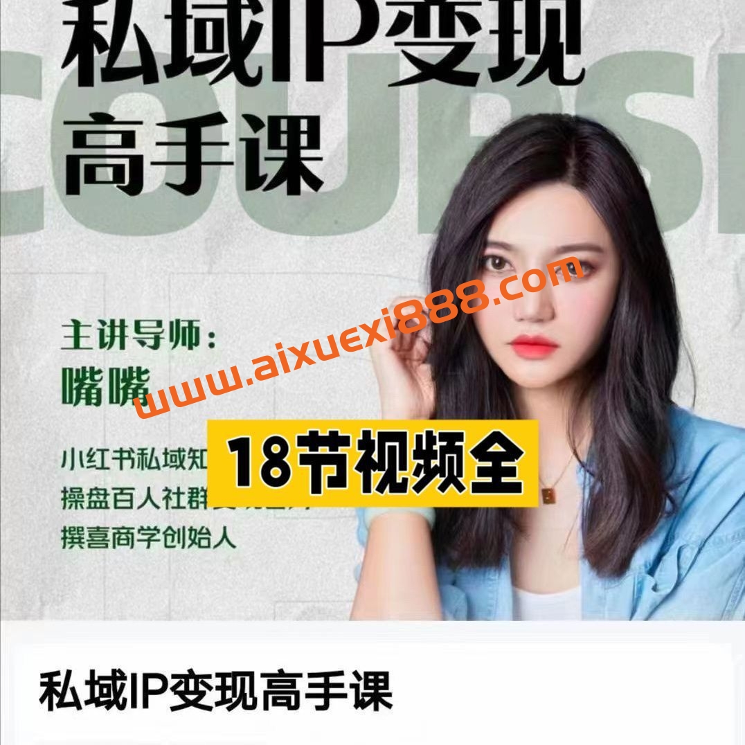 嘴嘴私域IP变现高手课，做好私域，被动成交，教你如何打造好朋友圈做好社群