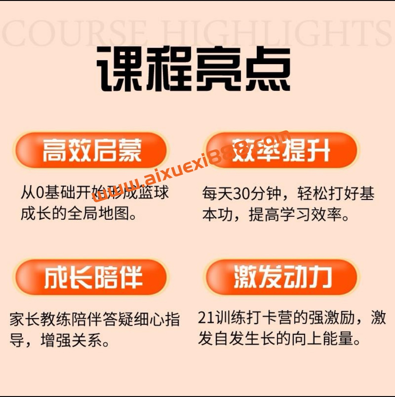 【初学篮球轻松系统入门】快学篮球_家长大学生篮球课程插图1 【初学篮球轻松系统入门】快学篮球_家长大学生篮球课程插图1