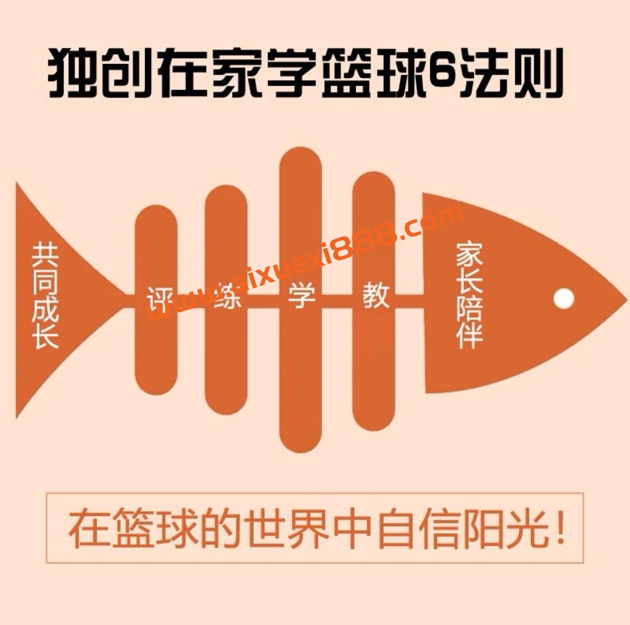 【初学篮球轻松系统入门】快学篮球_家长大学生篮球课程插图2 【初学篮球轻松系统入门】快学篮球_家长大学生篮球课程插图2