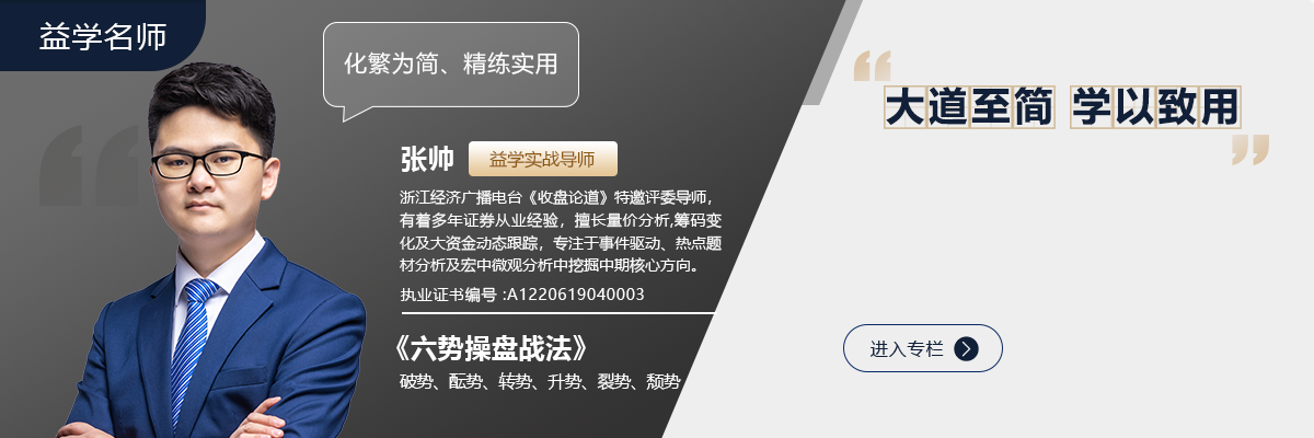 2026张帅六势操盘长虹有道技术课+盘后解盘视频插图