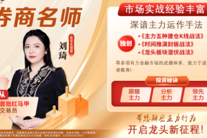 刘琦龙头推背图龙头择时龙头掘金系统课+资料指标
