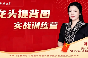 刘琦龙头推背图龙头掘金03期小班课