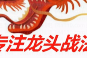 2025新更龙头战法系列课程