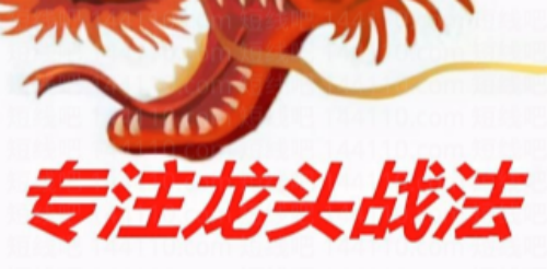 2025新更龙头战法系列课程插图